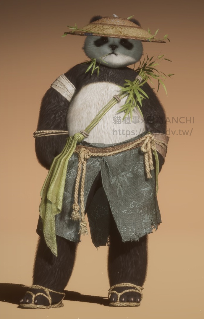 熊有成竹正面