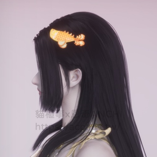 錦鱗游正面