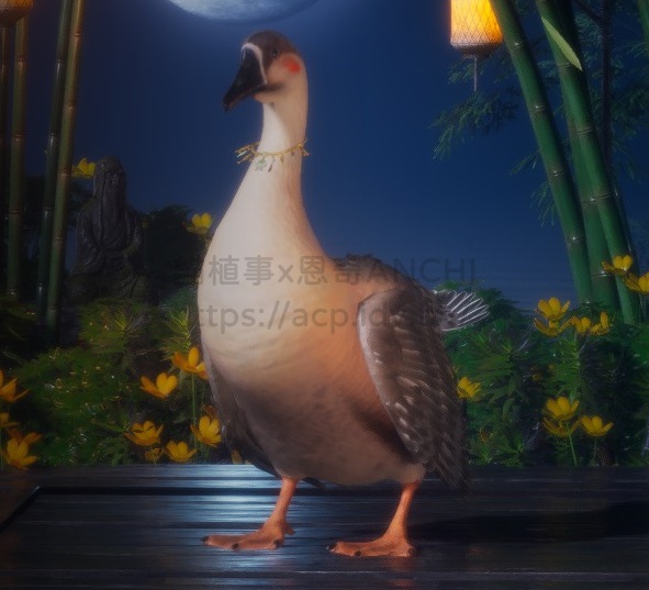御喵瓔珞圈-鵝正面
