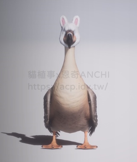 兔耳帽-鵝正面