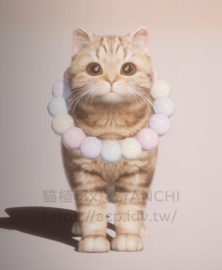 彩絨球-貓正面