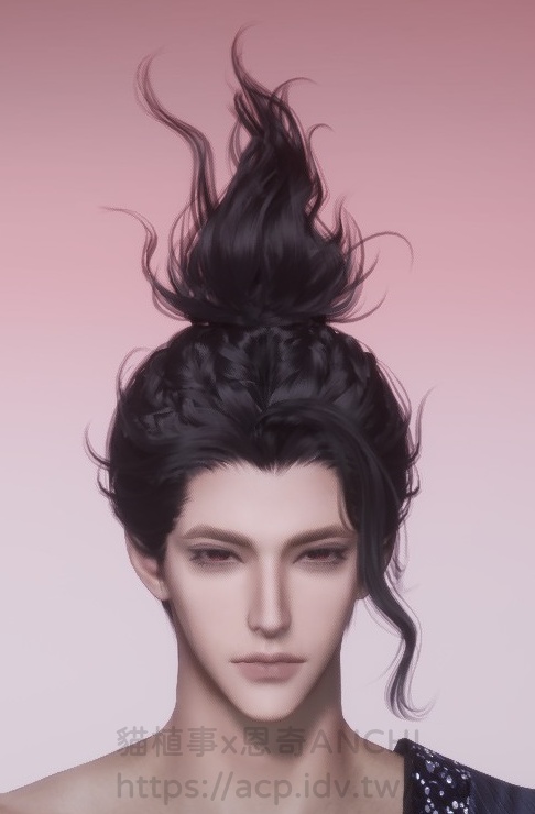 如是願男角髮型正面